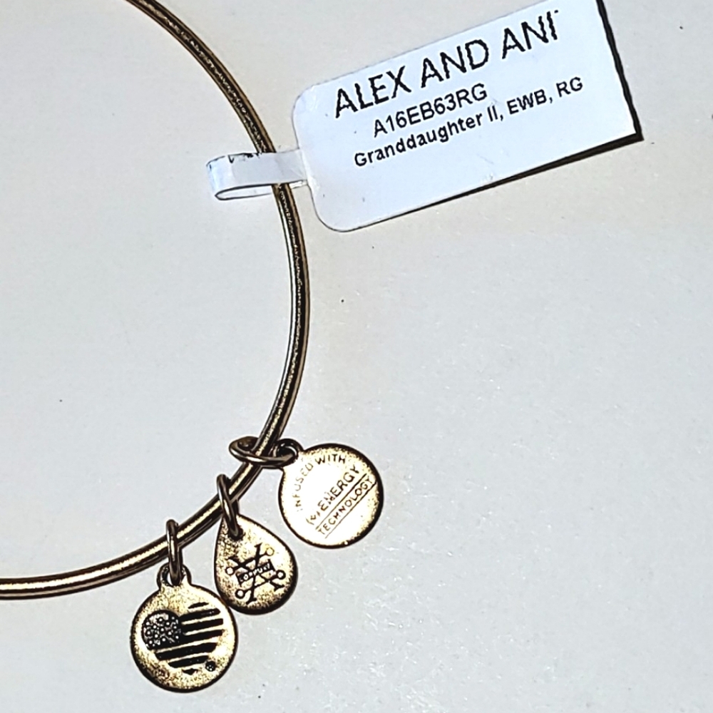 ALEX AND ANI "GRANDDAUGHTER" CHARM BANGLE BRACELET - 2016 - Picture 3 of 7